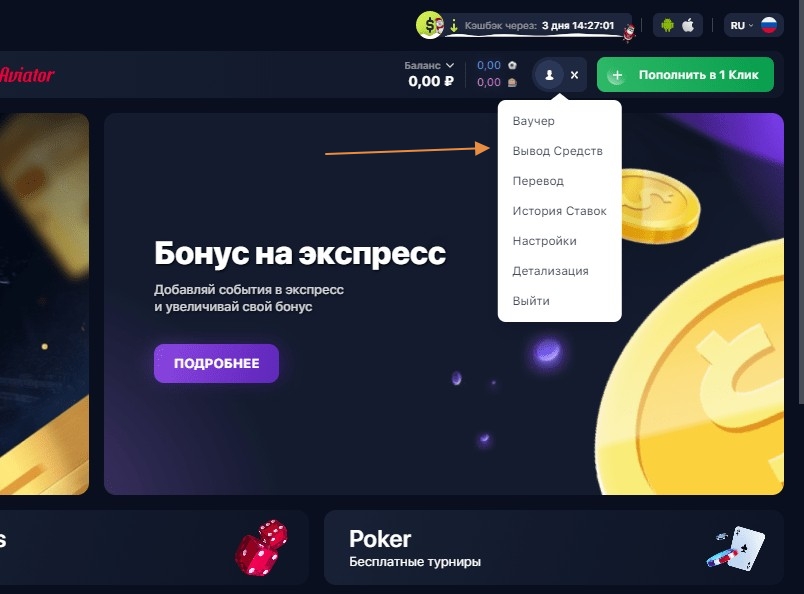 vivod